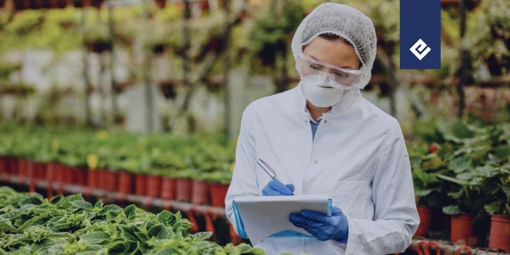 técnica avaliando alimentos representando o haccp