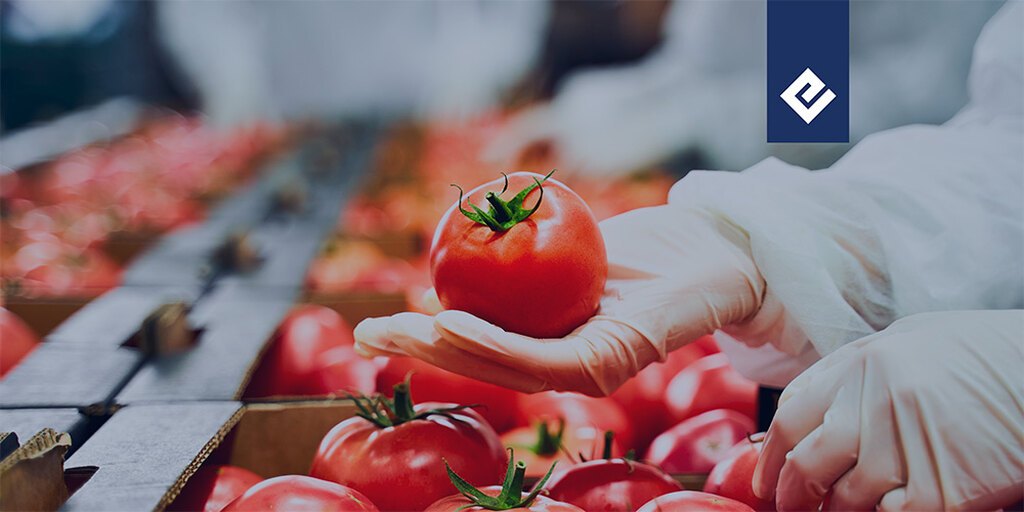centro distribuicao alimentos 1