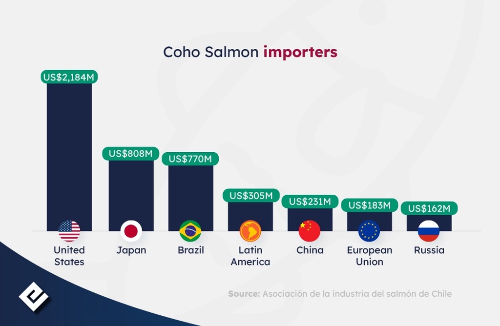 Coho salmon