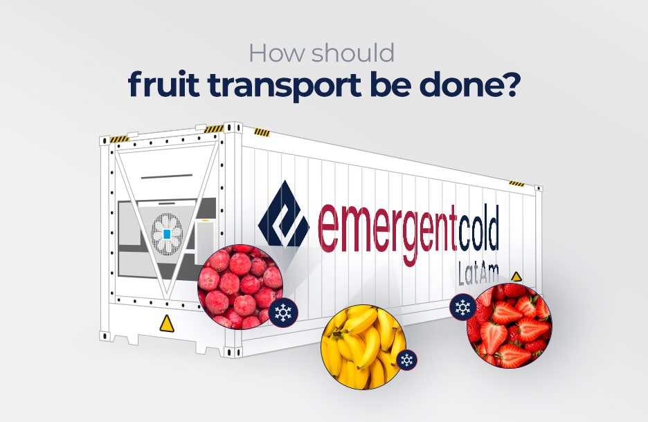 Transport of fruits