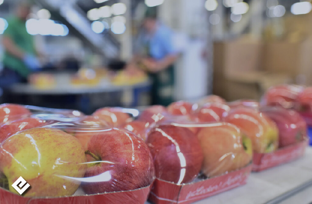 Fruit Exports