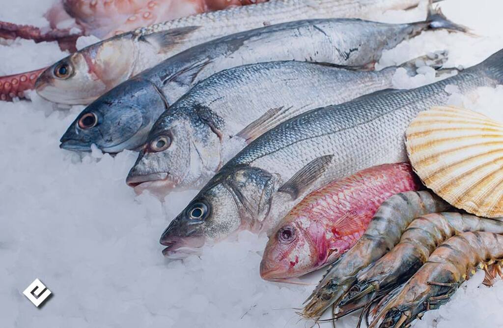 export of fish